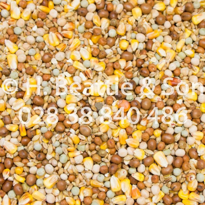 Beatties 4 Seasons 25kg
