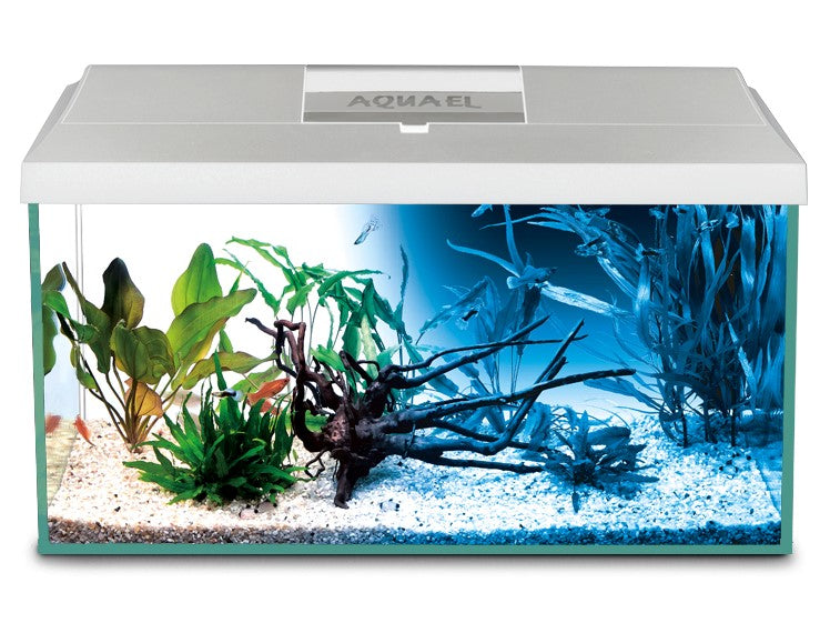 LEDDY WHITE TROPICAL AQUARIUM 60CM 54LT