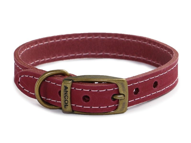 TIMBERWOLF LEATHER COLLAR RASP 28-36 S3