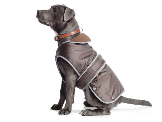 STORMGUARD COAT CHOC XSMALL