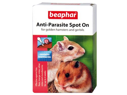 BEAPH ANTI PARASITE SPOT ON HAMSTER/GER