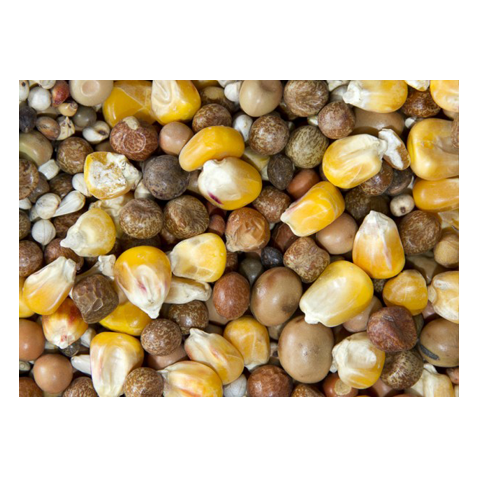 Bamfords Top Flight Irish Mix 20kg