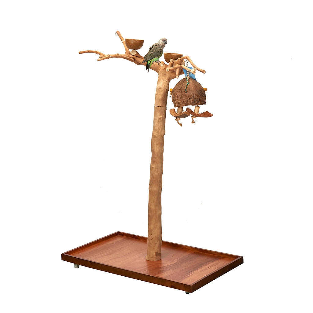 Java II Tree Small
