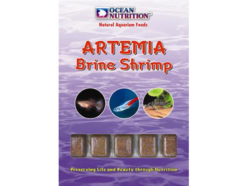 O NUT FROZEN ARTEMIA B/SHRIMP CUBE 100G