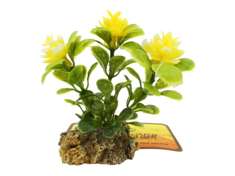 DESERT PLANT WITH ROCKBASE 6x5x9CM