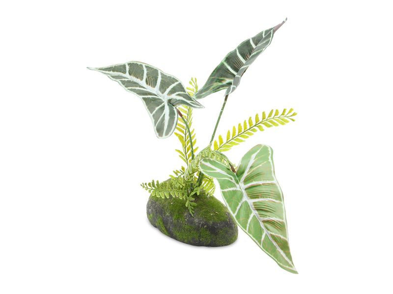 PR ART PHILODENDRON RED EMERALD PLANT 30