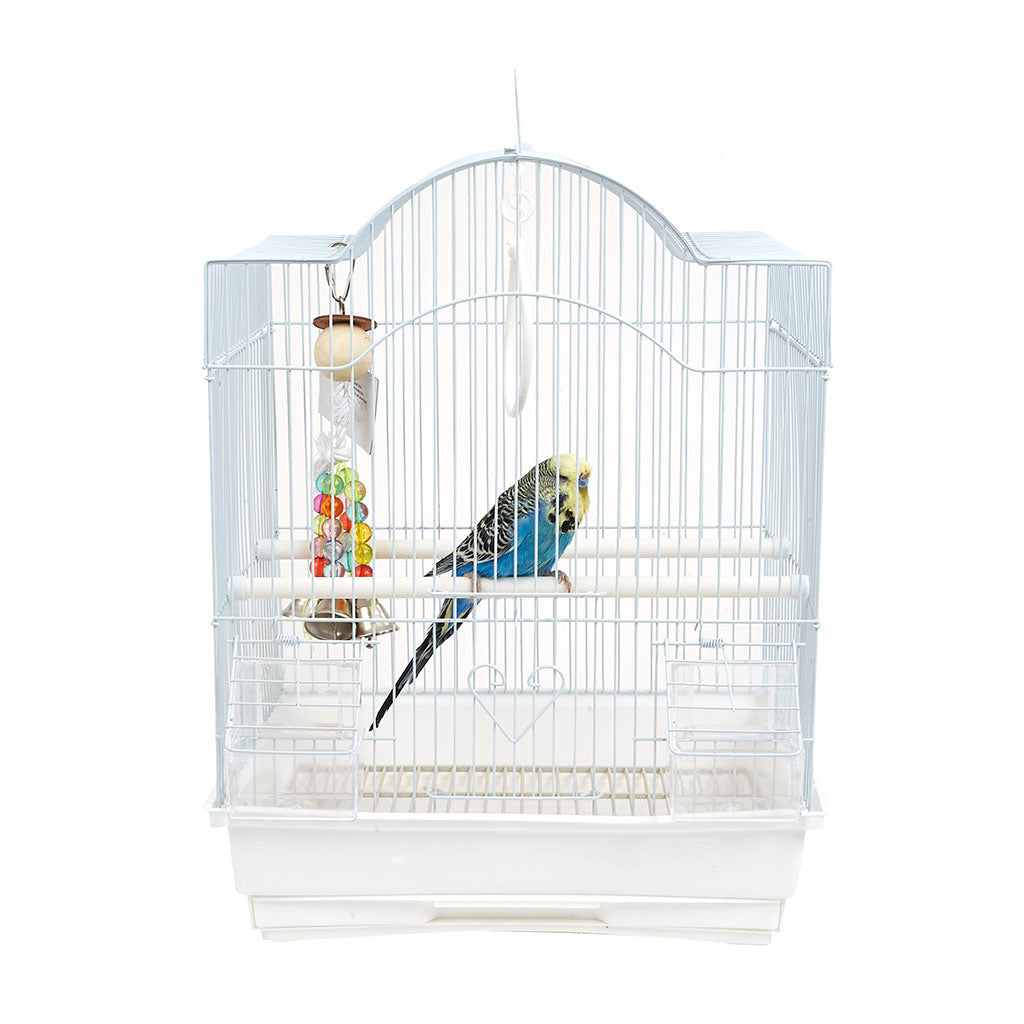 RC Panama Cage