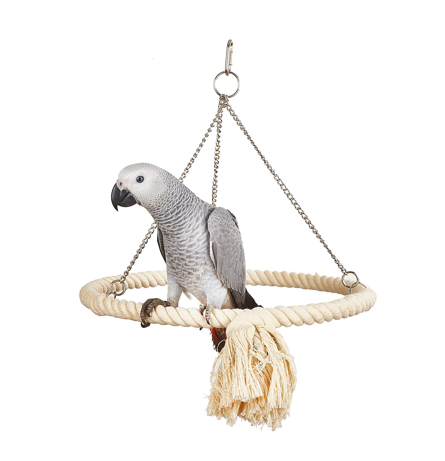 Rope Ring Toy
