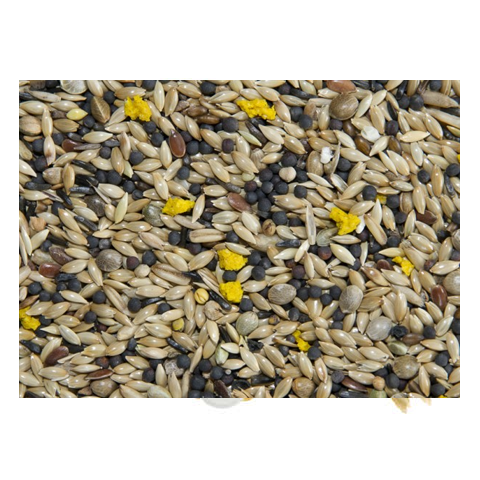 Bamfords Top Flight Super Canary with Egg 20kg
