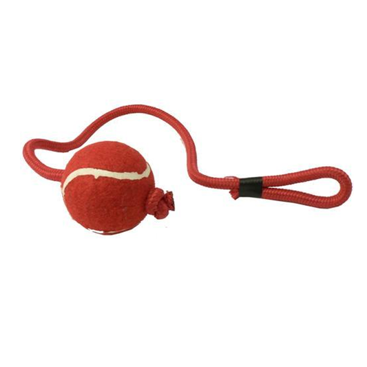 Cheeko Tennis Ball on Rope