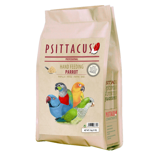 Psittacus Parrot Hand Feeding 5kg