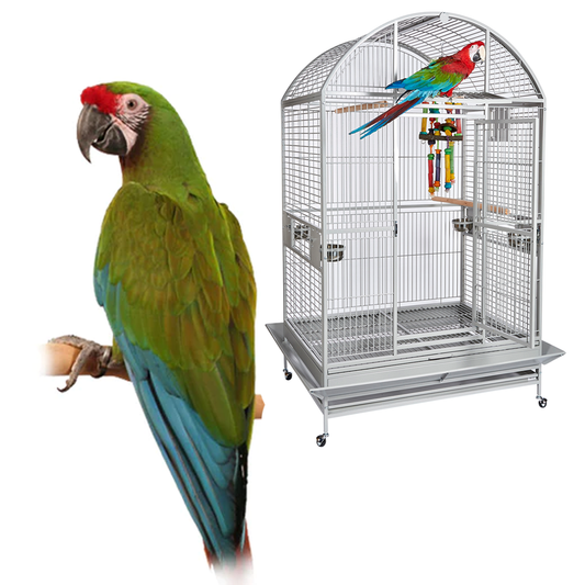 Military Macaw & Cage Bundle Deal