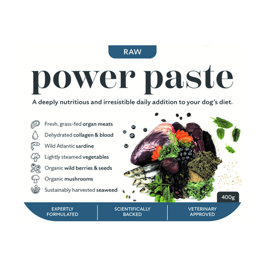 BarkinBISTRO Power Paste Raw 400g
