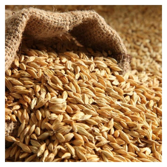 Beatties Barley 20kg