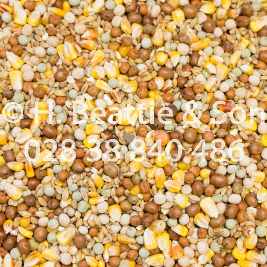 Beatties 4 Seasons 25kg