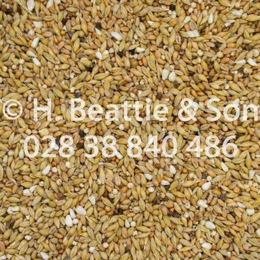 Beatties Depurative 25kg