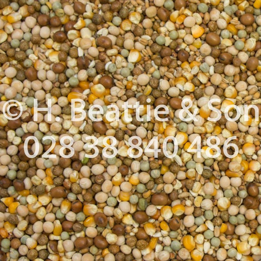 Beatties Young Bird Supreme 25kg