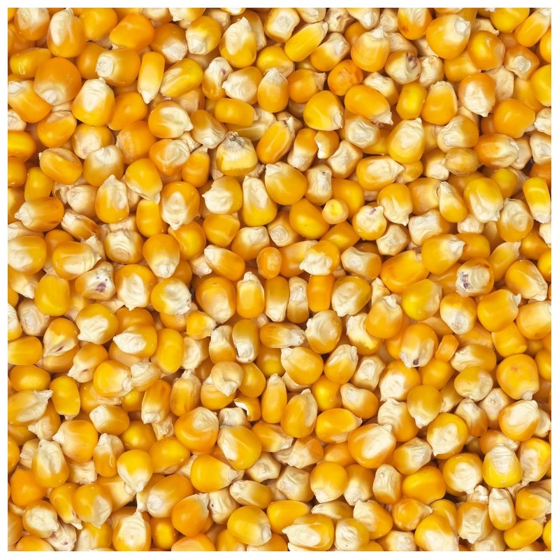Beatties Maize French Cribb Yellow 20kg