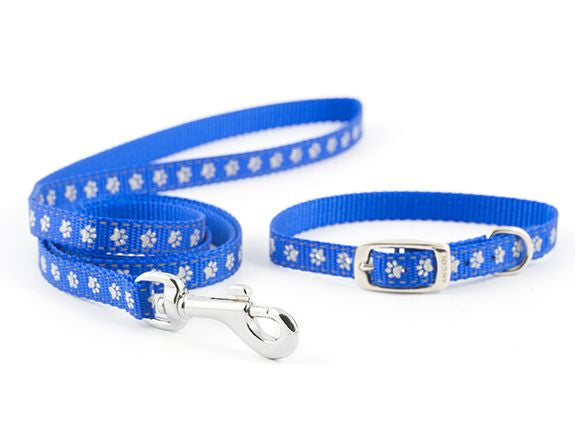 SML BITE NYLON PUPPY COLLAR&LEAD BLUE
