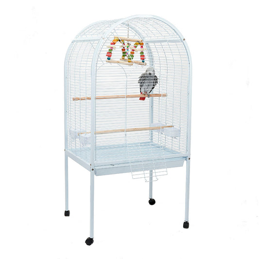 Liberta Apollo Cage