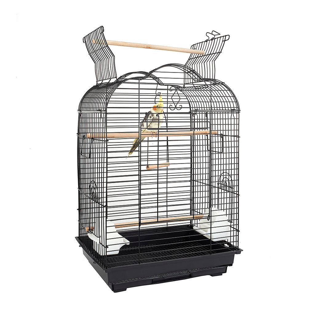 Arizona Fun Cage