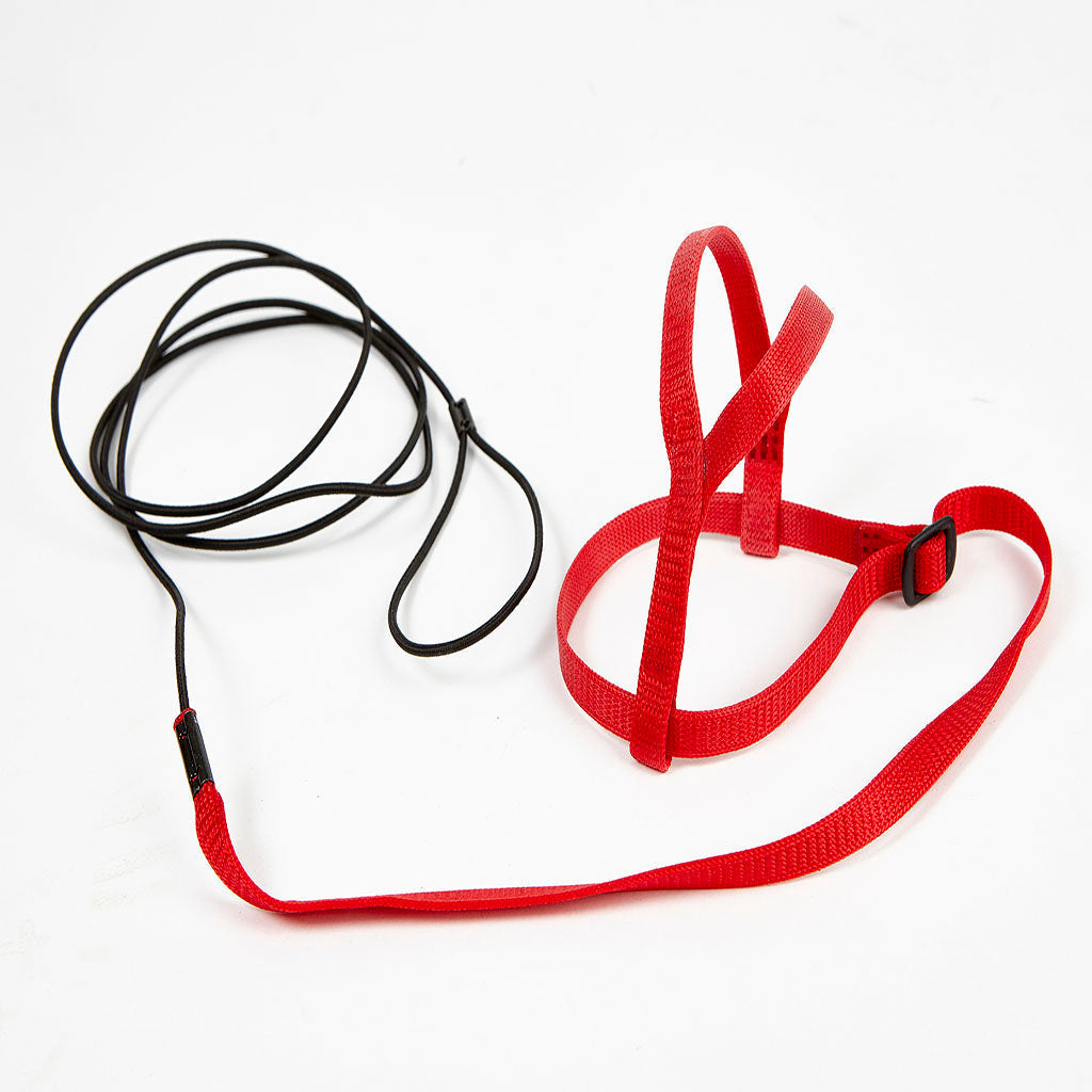 Avian Adventure Harness Large Red