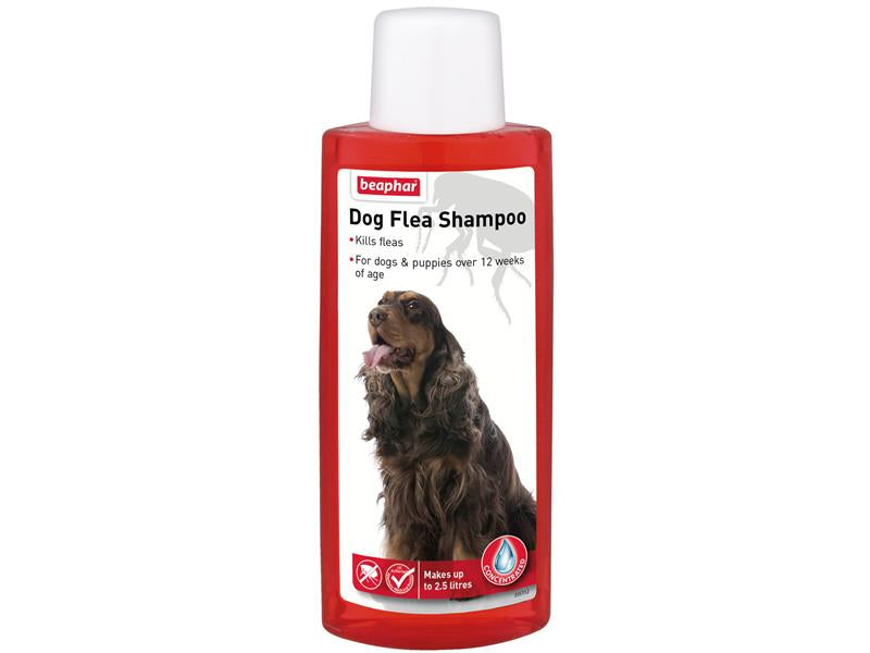 *NI VM BEAPHAR DOG FLEA SHAMPOO 250ML