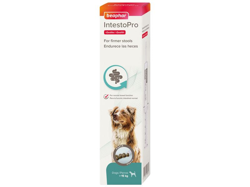 INTESTOPRO PASTE FOR LARGE DOGS