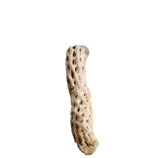 Cactus Perch - Large