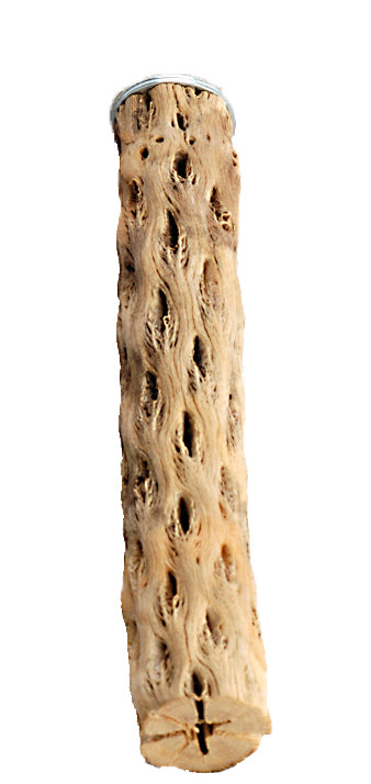 Cactus Perch - Medium