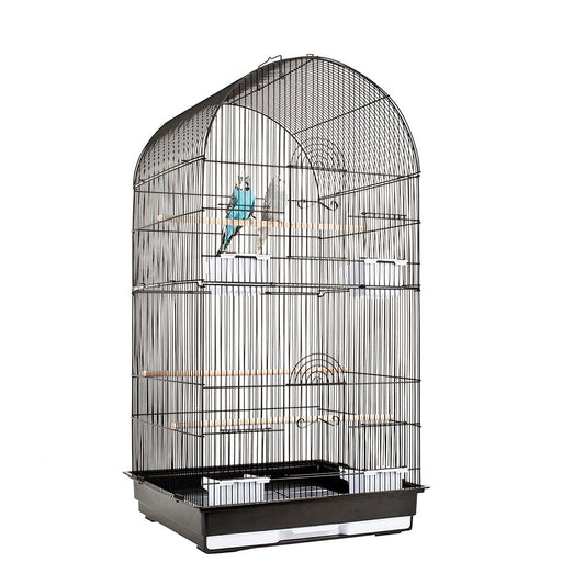 RC Caracas Cage Black