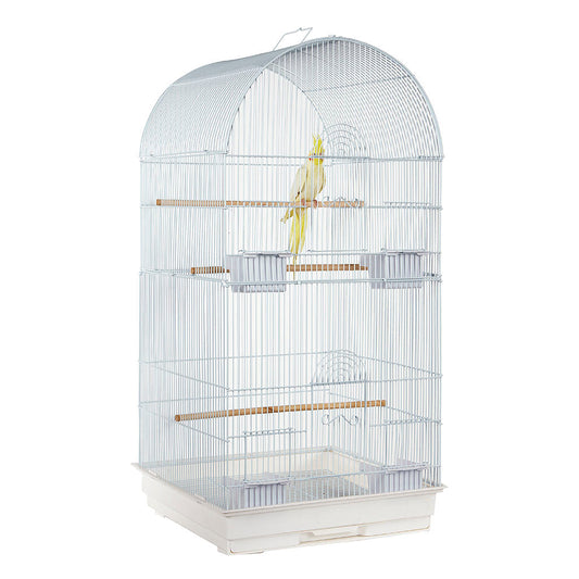 RC Caracas Cage White