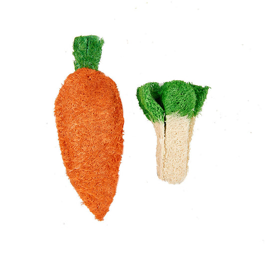 Carrot and Green Leaves