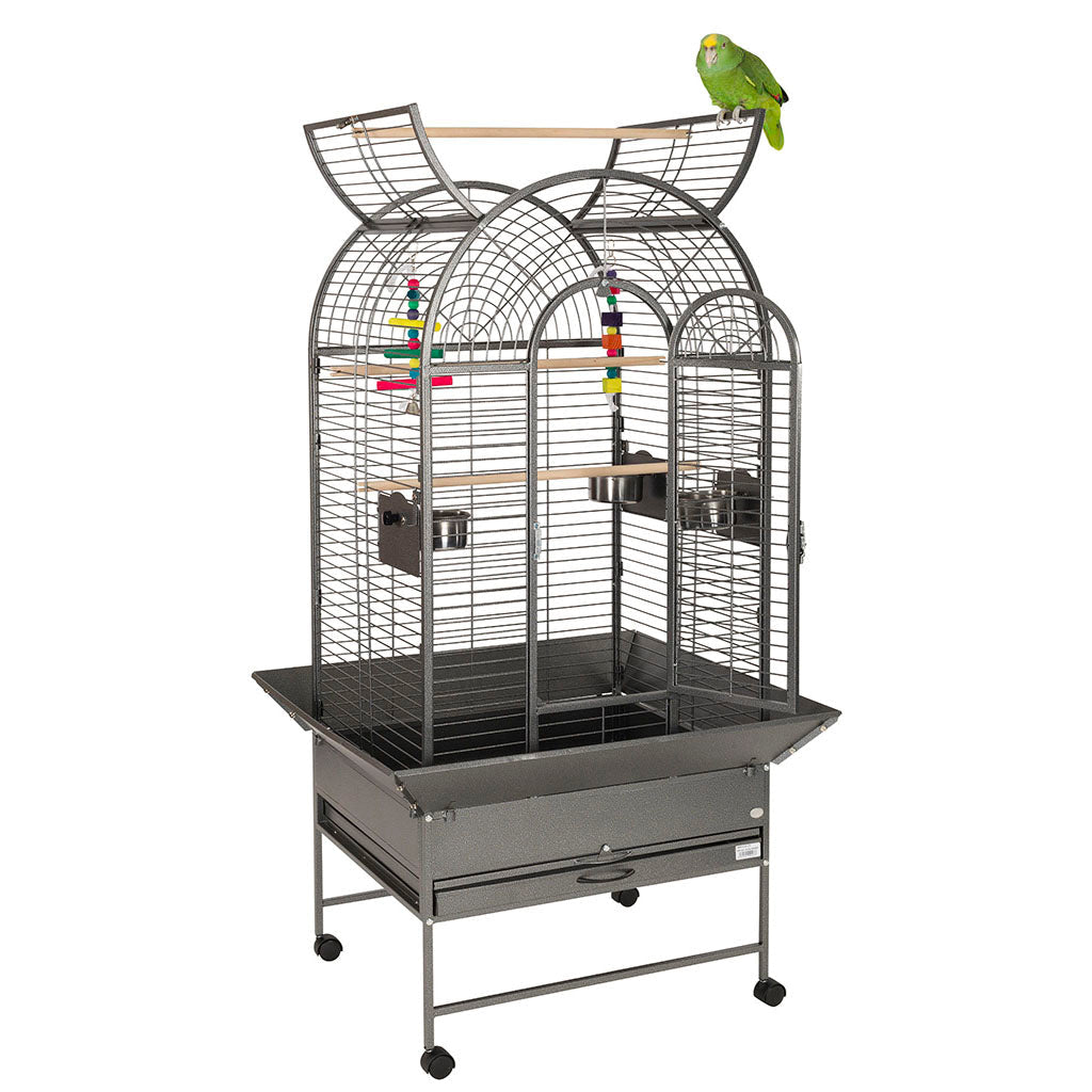 Liberta Cortes Cage