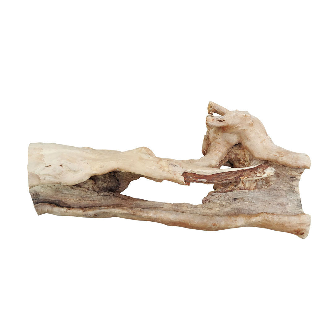 Deco Naturalis Large