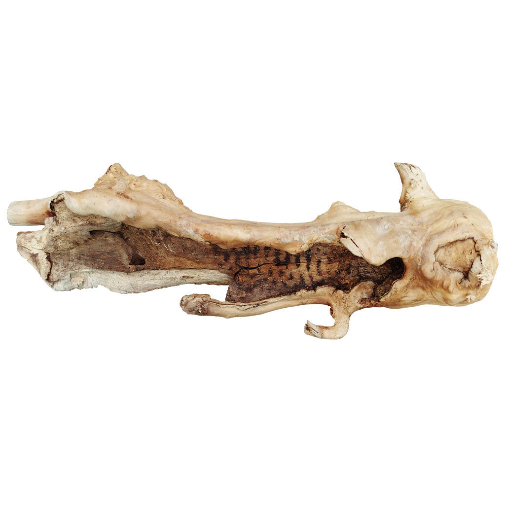 Deco Naturalis Medium