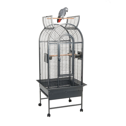 RC Ecuador II Cage Antique
