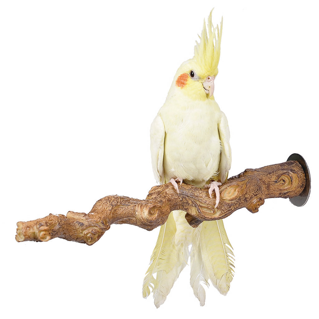 Grape Vine Perch - Medium