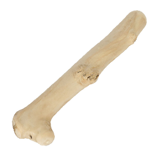 Grizzly Chomp Medium