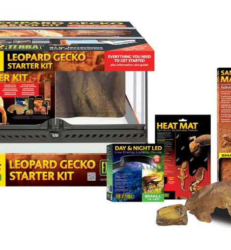 Gecko starter kit sales pets at home