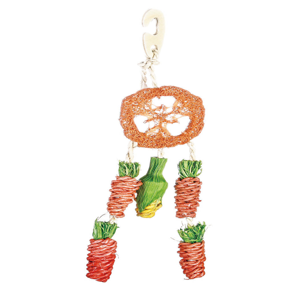 Hanging Carrot Treat