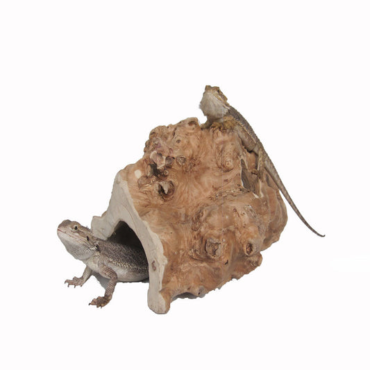 Java Reptile Hide Half