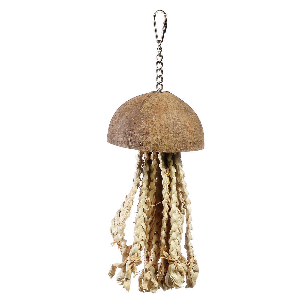 Java Jellyfish