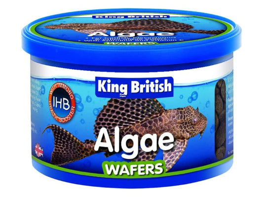 KB Algae waffers 100G