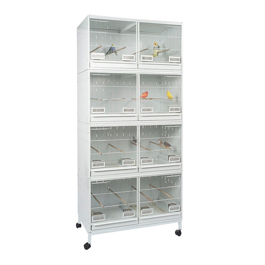 RC Lima Breeder Cage
