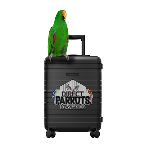 Medium Parrot Boarding Service