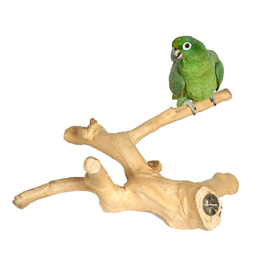 Java Multibranch Perch - Medium