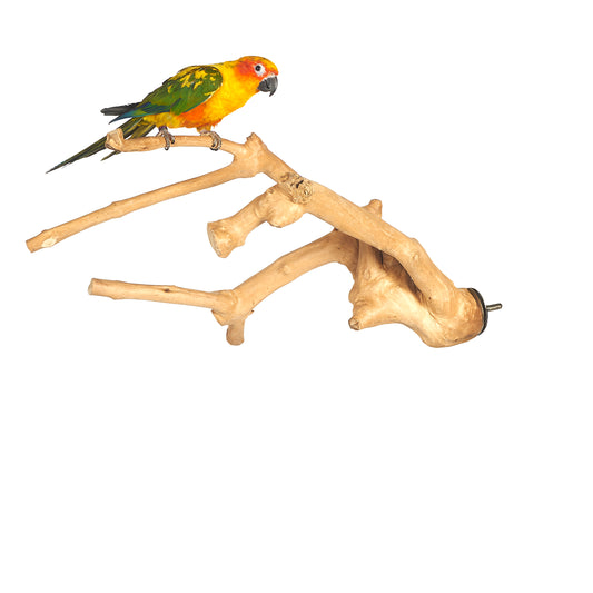 Java Multibranch Perch - Small