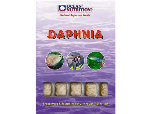 O NUT FROZEN DAPHNIA 100G CUBE
