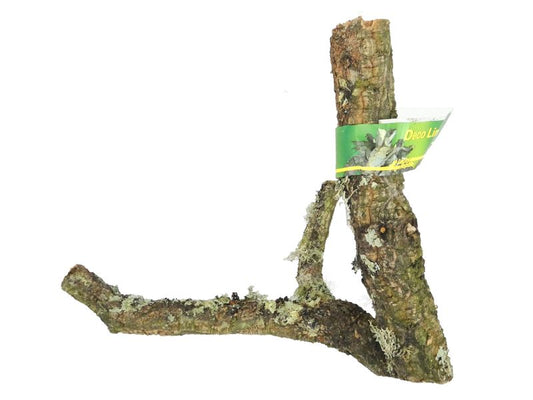 TRONCHOS CORK BRANCH 30-40CM